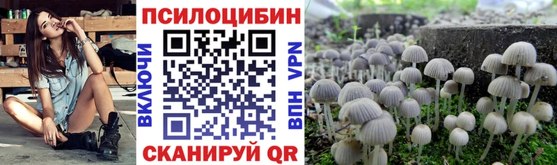 Псилоцибиновые грибы GOLDEN TEACHER  hydra вход  Богданович 