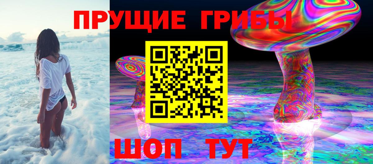 Галлюциногенные грибы мицелий  Вход с VPN  сколько стоит  Богданович 